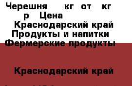 Черешня 140 кг, от 2 кг 100р › Цена ­ 100-140 - Краснодарский край Продукты и напитки » Фермерские продукты   . Краснодарский край